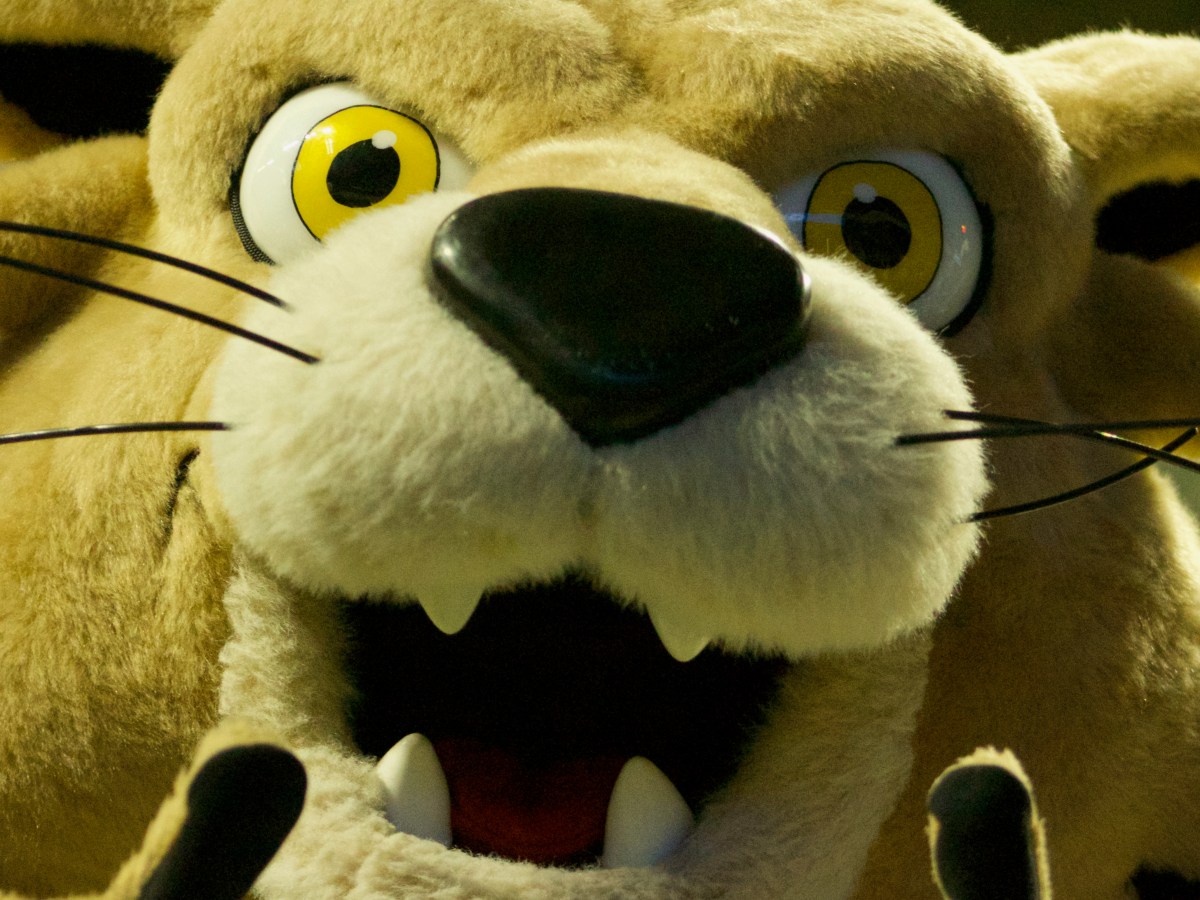 Bobcat hoops isn’t over; Men land in CBI, Women in&nbsp;WNIT